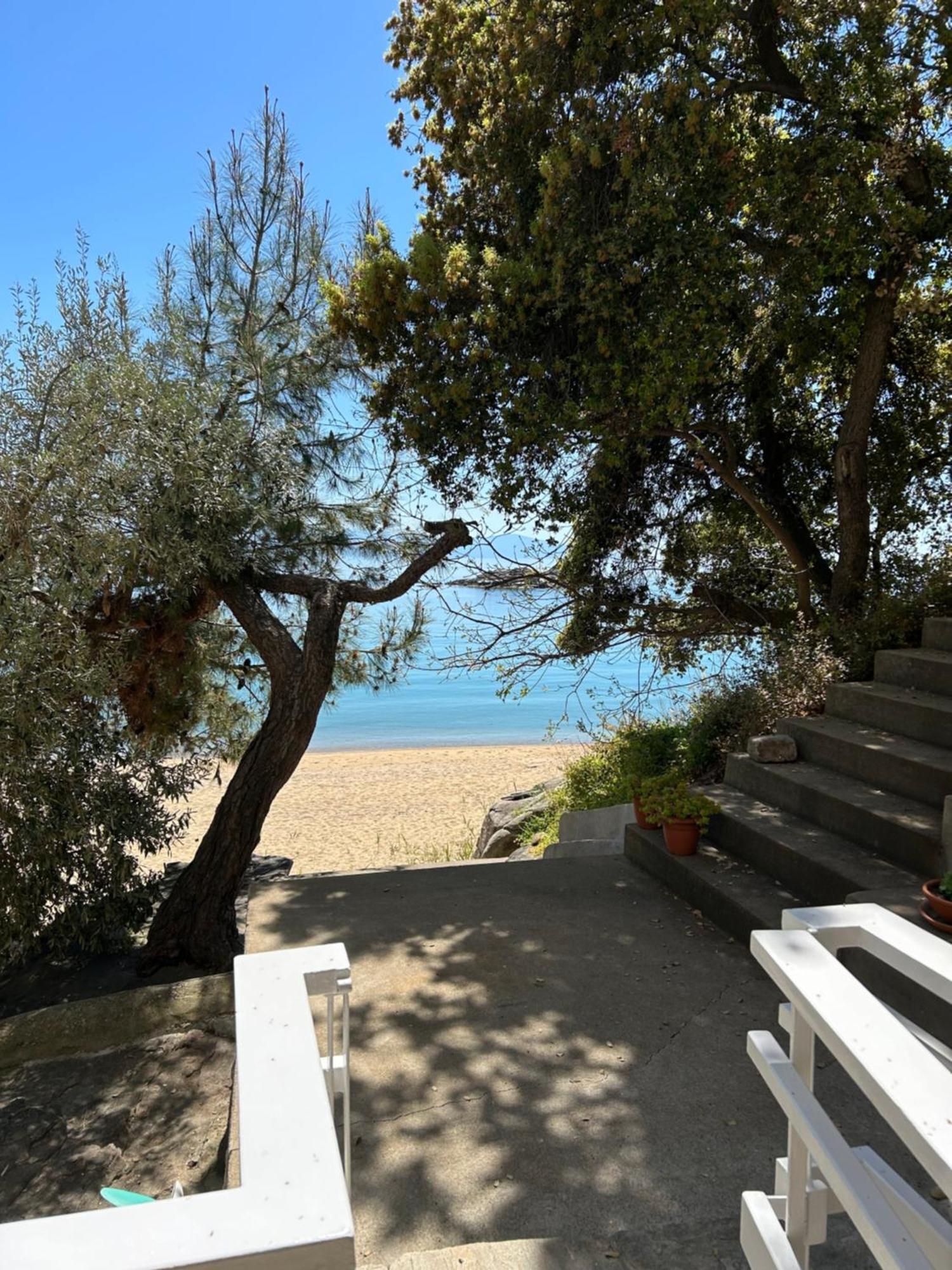 Appartement Secret Bay à PalaiónTsiflíkion Extérieur photo